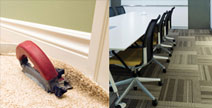 Carpet backing adhesive coating